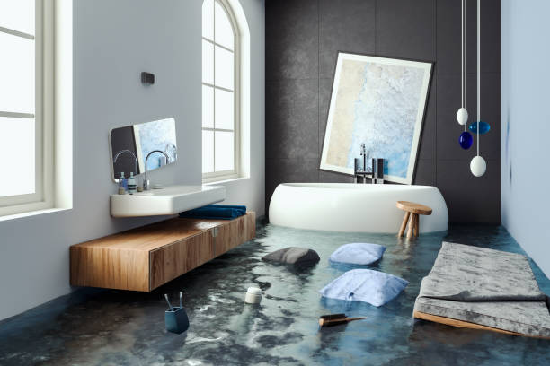 Best Mold removal after water damage  in St James, MD