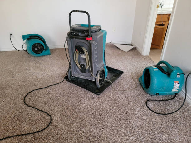 Best Local water damage restoration  in St James, MD