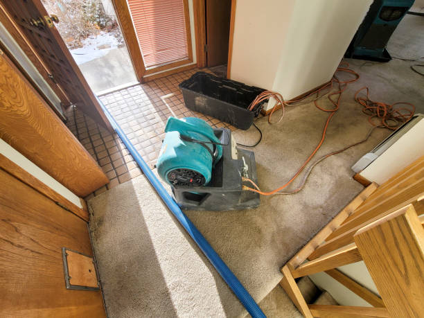 Best Water damage restoration near me  in St James, MD
