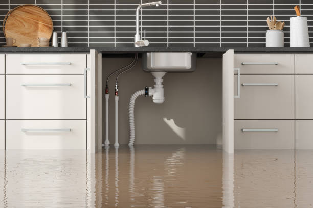 Best Residential water damage restoration  in St James, MD