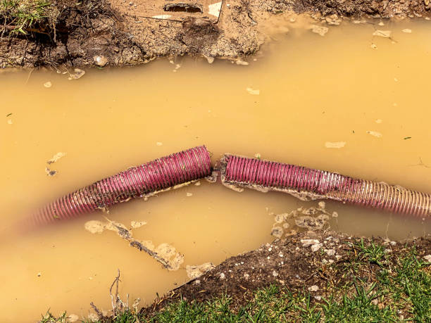 Best Flood damage cleanup  in St James, MD